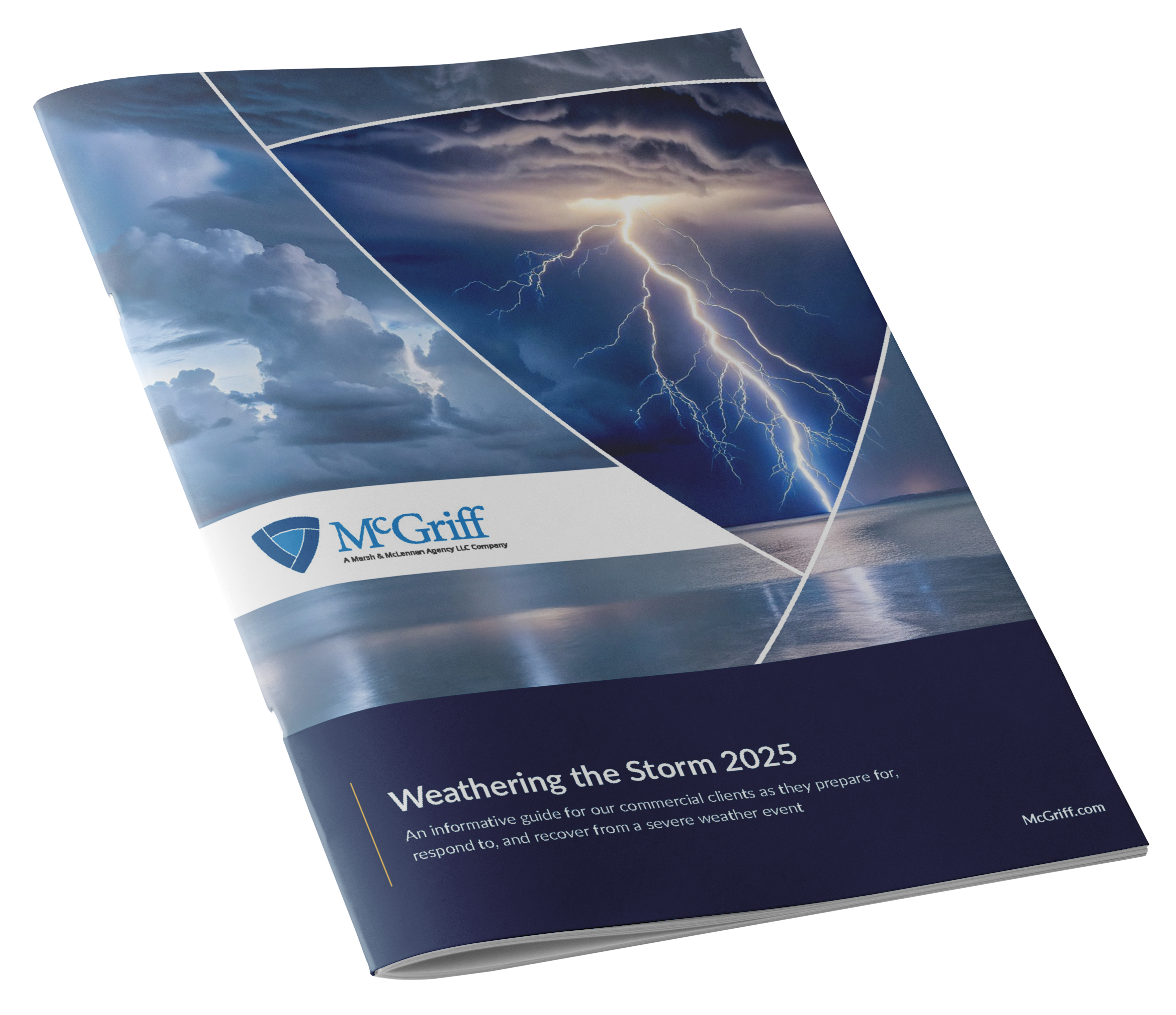 infographic image for Weathering the Storm 2025