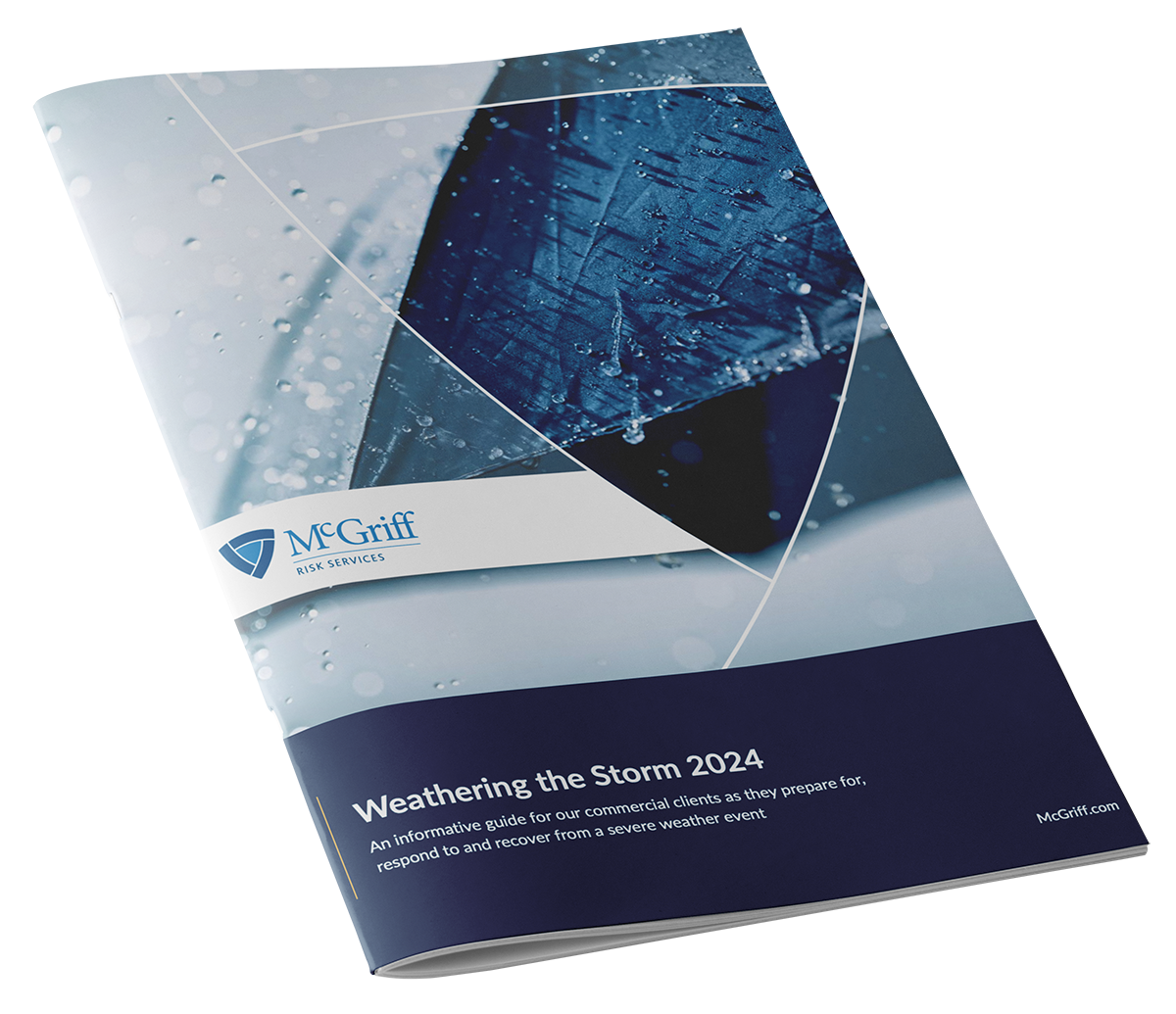 infographic image for Weathering the Storm 2024